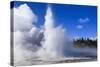 Sawmill Geyser Erupts-Eleanor-Stretched Canvas