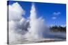 Sawmill Geyser Erupts-Eleanor-Stretched Canvas