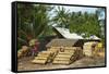 Sawn Tree Trunks at Lumber Yard in This Rural District Near Pangandaran on the South Coast-Rob-Framed Stretched Canvas