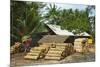 Sawn Tree Trunks at Lumber Yard in This Rural District Near Pangandaran on the South Coast-Rob-Mounted Photographic Print