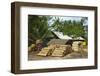 Sawn Tree Trunks at Lumber Yard in This Rural District Near Pangandaran on the South Coast-Rob-Framed Photographic Print