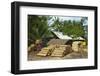 Sawn Tree Trunks at Lumber Yard in This Rural District Near Pangandaran on the South Coast-Rob-Framed Photographic Print