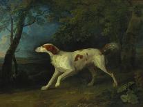 A Brown and White Setter in a Wooded Landscape, 1773-Sawrey Gilpin-Giclee Print