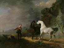 Gulliver Taking His Final Leave of the Land of the Houyhnhnms, c.1769-Sawrey Gilpin-Giclee Print