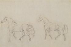 Mad Horse-Sawrey Gilpin-Giclee Print