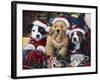 Sawry Santa Paws-Jenny Newland-Framed Giclee Print