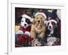 Sawry Santa Paws-Jenny Newland-Framed Giclee Print