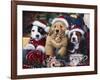 Sawry Santa Paws-Jenny Newland-Framed Giclee Print