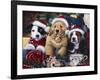 Sawry Santa Paws-Jenny Newland-Framed Giclee Print