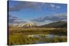 Sawtell Peak reflects in wetlands with herd of pronghorn antelope look on in the Red Rocks National-Chuck Haney-Stretched Canvas