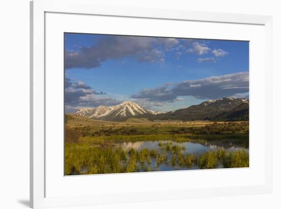 Sawtell Peak reflects in wetlands with herd of pronghorn antelope look on in the Red Rocks National-Chuck Haney-Framed Photographic Print