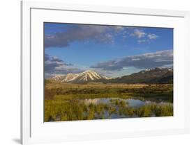 Sawtell Peak reflects in wetlands with herd of pronghorn antelope look on in the Red Rocks National-Chuck Haney-Framed Photographic Print