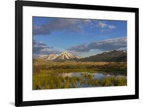 Sawtell Peak reflects in wetlands with herd of pronghorn antelope look on in the Red Rocks National-Chuck Haney-Framed Photographic Print