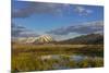 Sawtell Peak reflects in wetlands with herd of pronghorn antelope look on in the Red Rocks National-Chuck Haney-Mounted Photographic Print