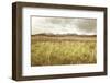 Sawtooth Mountains Idaho II-Alan Majchrowicz-Framed Photographic Print