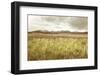 Sawtooth Mountains Idaho II-Alan Majchrowicz-Framed Photographic Print