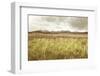 Sawtooth Mountains Idaho II-Alan Majchrowicz-Framed Photographic Print