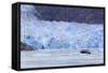 Sawyer Glacier in Tracy Arm Fjord, Alaska, United States of America, North America-Richard Cummins-Framed Stretched Canvas