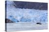 Sawyer Glacier in Tracy Arm Fjord, Alaska, United States of America, North America-Richard Cummins-Stretched Canvas