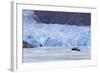 Sawyer Glacier in Tracy Arm Fjord, Alaska, United States of America, North America-Richard Cummins-Framed Photographic Print