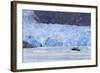 Sawyer Glacier in Tracy Arm Fjord, Alaska, United States of America, North America-Richard Cummins-Framed Photographic Print