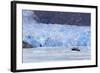 Sawyer Glacier in Tracy Arm Fjord, Alaska, United States of America, North America-Richard Cummins-Framed Photographic Print