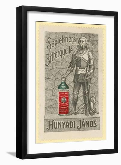 Saxlehner's Bitterquelle Mineral Water-null-Framed Giclee Print