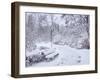 Saxon Garden, winter, Warsaw, Masovian Voivodeship, Poland, Europe-Karol Kozlowski-Framed Photographic Print