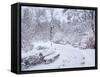 Saxon Garden, winter, Warsaw, Masovian Voivodeship, Poland, Europe-Karol Kozlowski-Framed Stretched Canvas