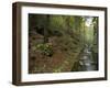 Saxon-Switzerland National Park, Saxony, Germany, Europe-Michael Snell-Framed Photographic Print