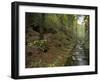 Saxon-Switzerland National Park, Saxony, Germany, Europe-Michael Snell-Framed Photographic Print