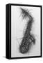 Saxophone 2005-Penny Warden-Framed Stretched Canvas