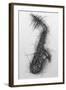 Saxophone 2005-Penny Warden-Framed Giclee Print