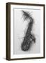 Saxophone 2005-Penny Warden-Framed Giclee Print