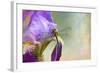 Say Hello to Spring-Jai Johnson-Framed Giclee Print