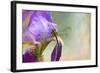 Say Hello to Spring-Jai Johnson-Framed Giclee Print