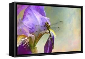 Say Hello to Spring-Jai Johnson-Framed Stretched Canvas