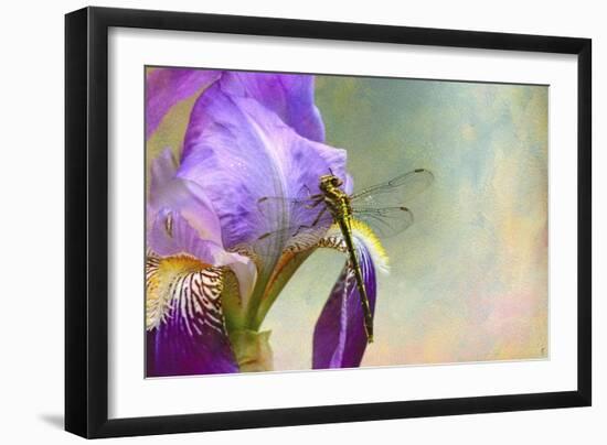 Say Hello to Spring-Jai Johnson-Framed Giclee Print