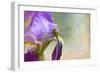 Say Hello to Spring-Jai Johnson-Framed Giclee Print