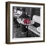 Say It With Flowers I-Assaf Frank-Framed Art Print