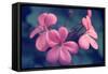 Say it with Flowers-Incredi-Framed Stretched Canvas