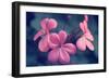 Say it with Flowers-Incredi-Framed Photographic Print