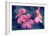 Say it with Flowers-Incredi-Framed Photographic Print