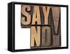 Say No Exclamation-PixelsAway-Framed Stretched Canvas