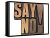 Say No Exclamation-PixelsAway-Framed Stretched Canvas