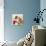 Saying Hello to Kitty-null-Giclee Print displayed on a wall