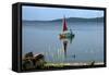 Saynatsalo island on Lake Paijanne in August-CM Dixon-Framed Stretched Canvas