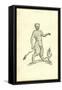 Saytri Figura Species-Ulisse Aldrovandi-Framed Stretched Canvas