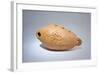 Saz Syrnay (Sazsarna)-null-Framed Photographic Print