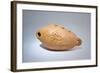 Saz Syrnay (Sazsarna)-null-Framed Photographic Print